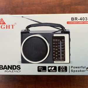BRIGHT BR-4030 Speaker